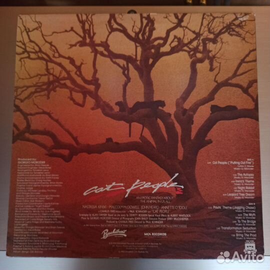 Виниловая пластинка