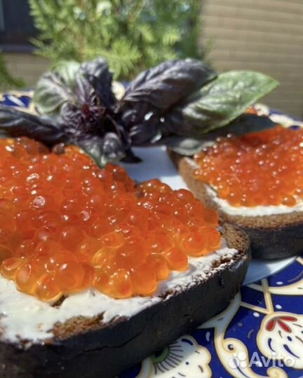 Красная икра горбуши