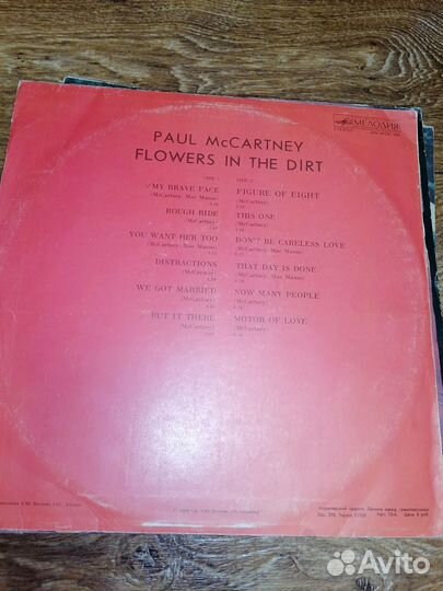 Виниловые пластинки