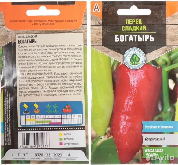 Рассада перца калифорнийское чудо