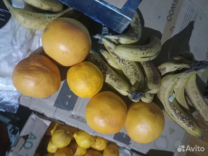 Овощи фрукты