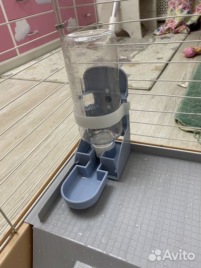 Клетка+корм