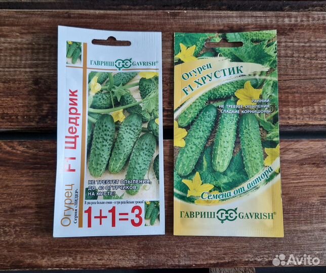Семена Огурцов №5