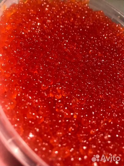Кета, корюшка, Икра Красная с Камчатки