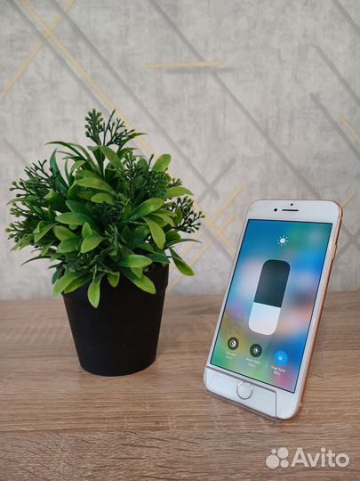 iPhone 8, 64 ГБ