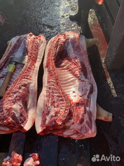 Мясо, свинина домашняя