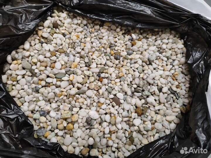 Креветки аквариумные, рыбки, растения