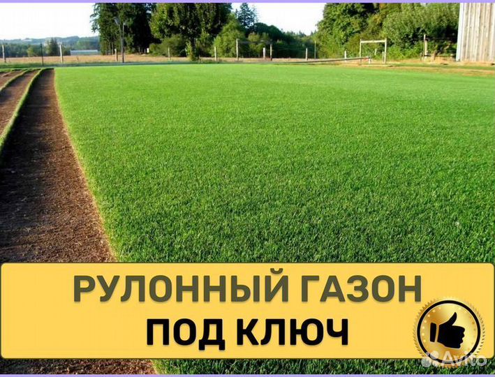 Рулонный газон Спортивный