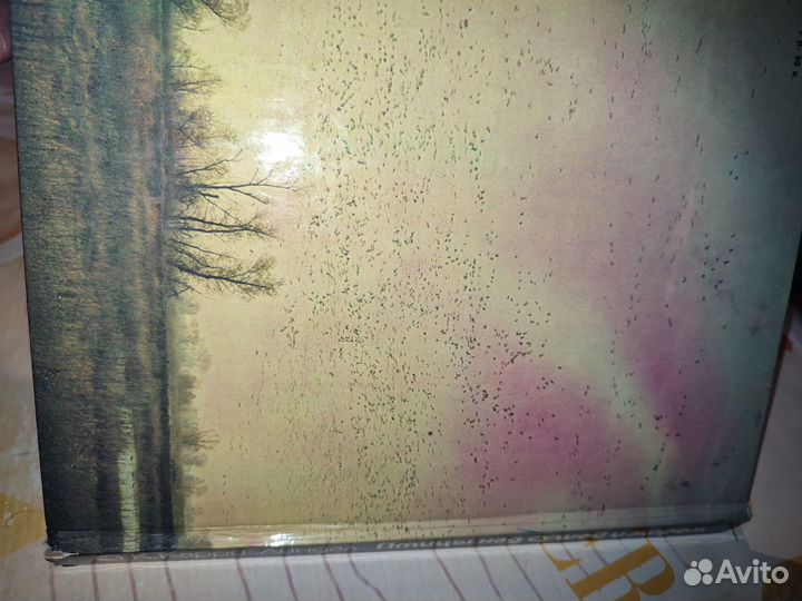 Кай Карри-Линдал. Птицы над сушей и морем. Миграци