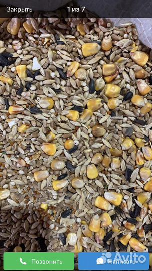 Зерносмесь