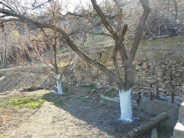 Участок 7,3 сот. (СНТ, ДНП)