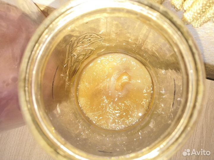 Чайный Гриб Комбуча