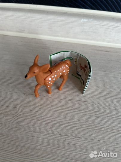 Киндер натунс 2023