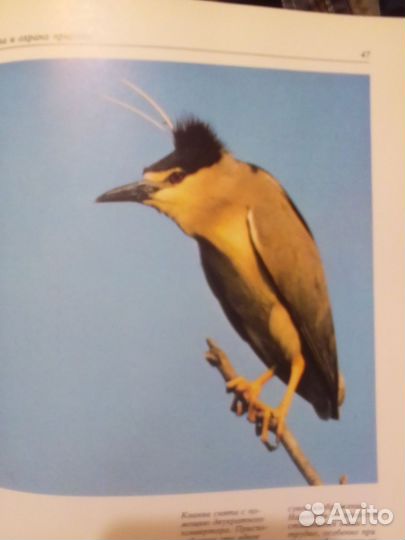 Фотоохота, книга