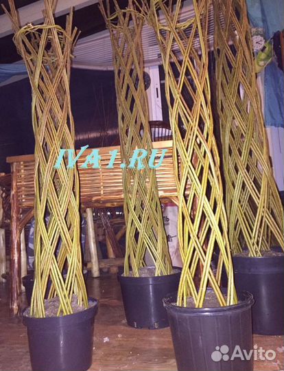 Плетеные деревья из ивы