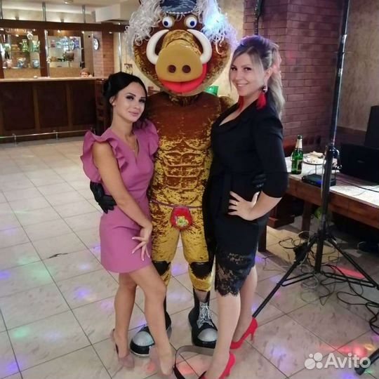 Ведущая праздников тамада - свадьбы, корпоративы