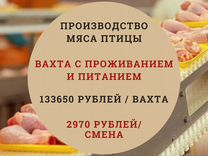 Вахта с проживанием питанием/ Рабочий завод Кинель