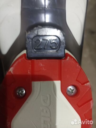 Горные лыжи