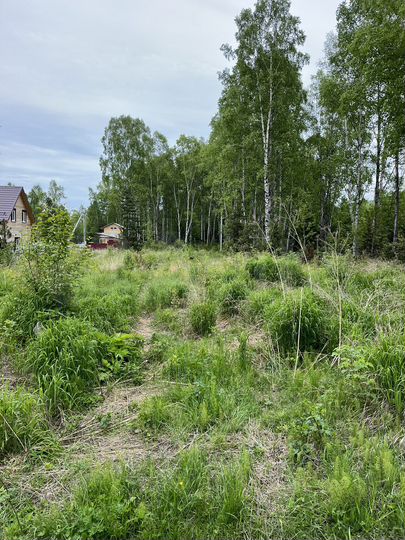 Участок 15,2 сот. (СНТ, ДНП)