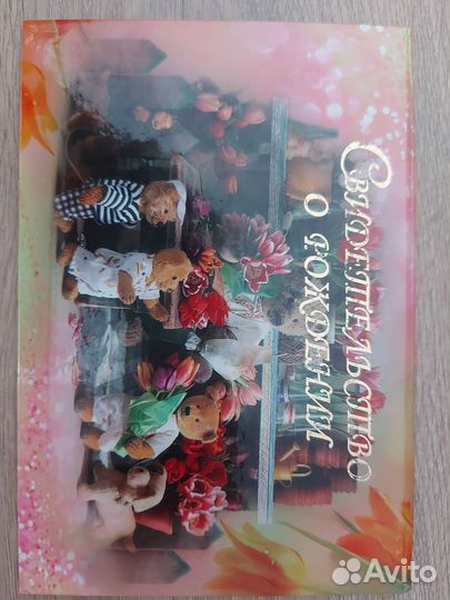 Обложка для свидетельство о рождении