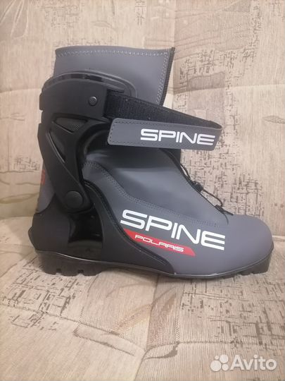 Лыжные ботинки spine