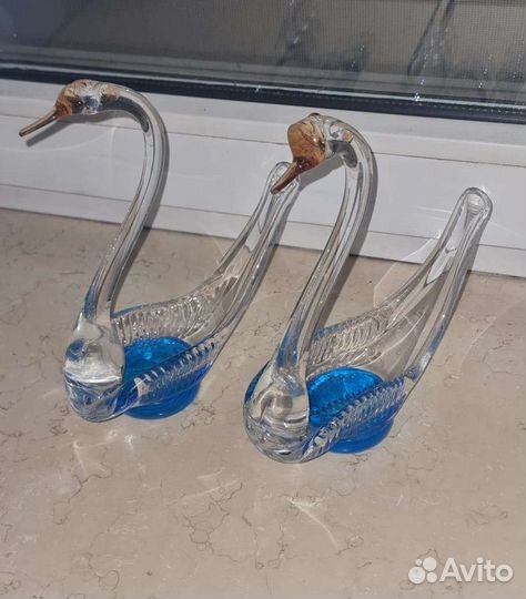 Лебеди, пара