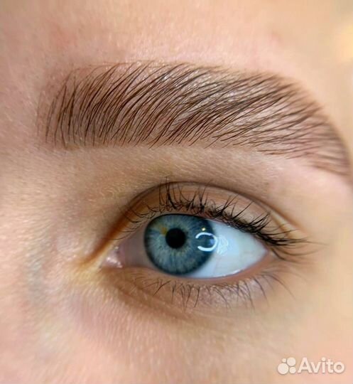 Лашмейкер-бровист