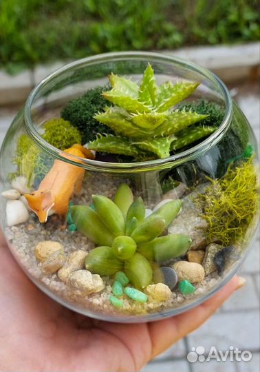 Флорариум с лисичкой