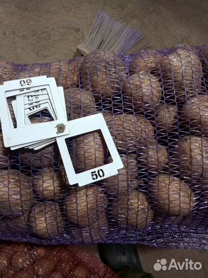 Продам картофель