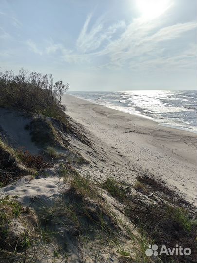 Экскурсия на Куршскую косу. Побережье