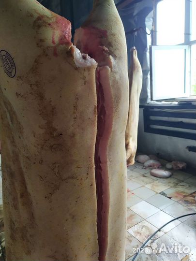 Мясо свинина домашняя