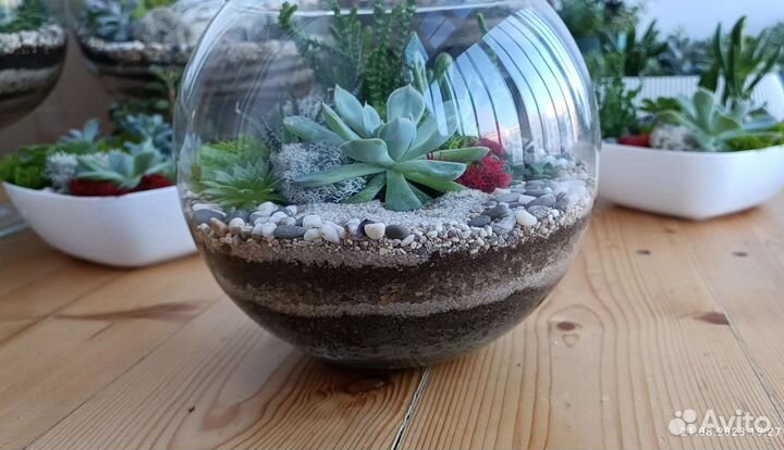 Флорариум 3 л