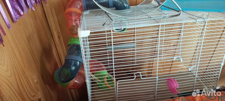 Клетка для грызунов с лабиринтом