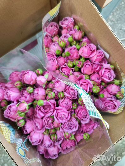 Цветы и фурнитура Оптом