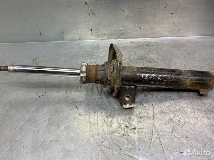 Амортизатор передний Skoda Octavia (A5 1Z)