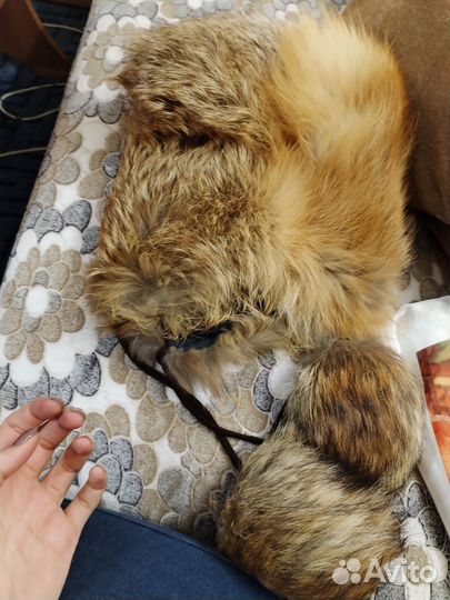 Шапка лисья