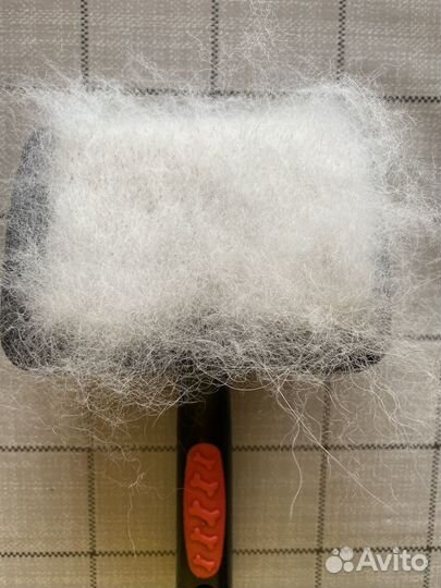 Собачья шерсть самоеда