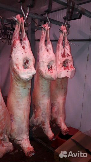 Баранина Тушка охлажденая