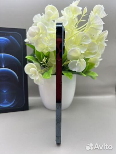 iPhone 12 Pro Max, 256 ГБ