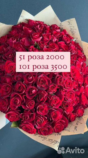 101 роза 3500