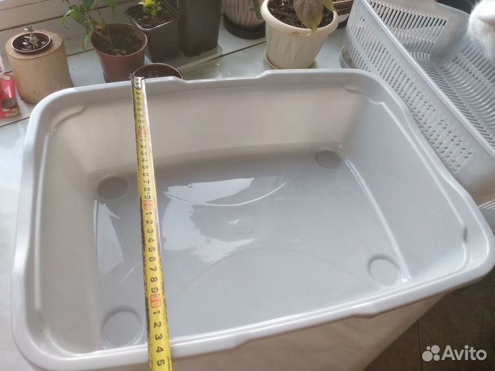 Огромный лоток для кошек