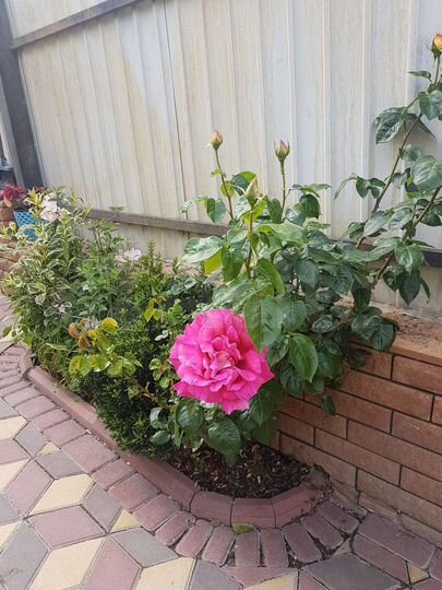 Дом 120 м² на участке 3 сот.