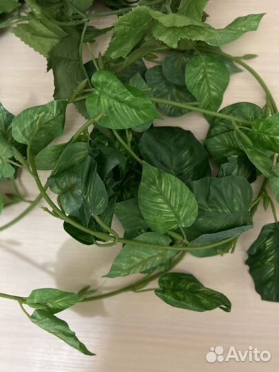 Листочки для поделок