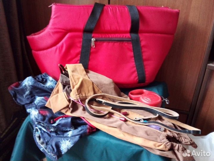 Принадлежности для маленькой собаки