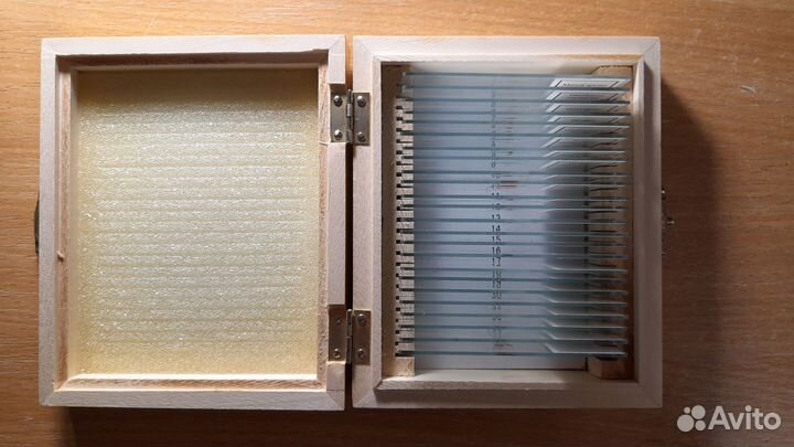 Набор препаратов для микроскопа 