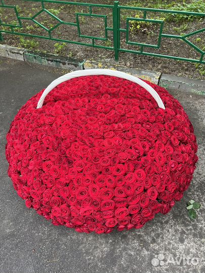 Букет 1001 роза