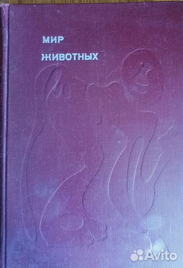 Акимушкин мир животных