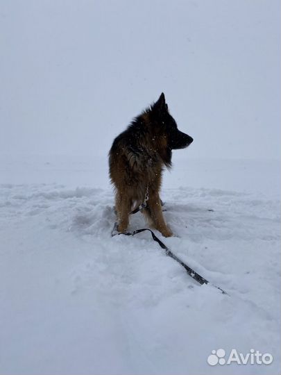 Приглашаем на вязку