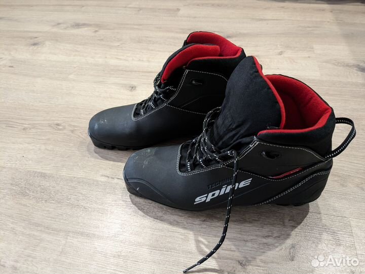 Лыжные ботинки spine