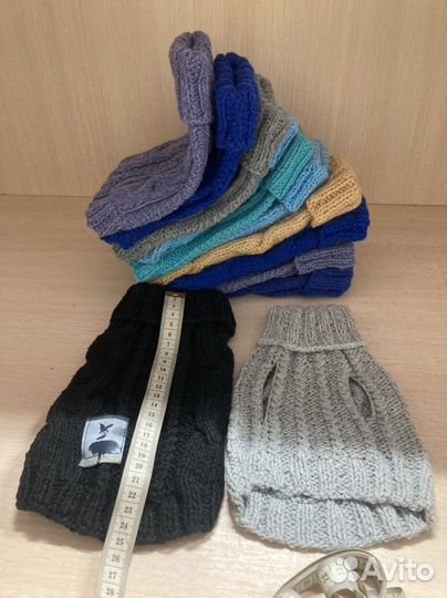 Одежда для животных